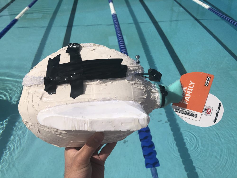 The finished robotic fish at a pool test